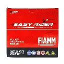 Batería Moto Fiamm Agm Ftz7s Bmw Honda Kawasaki Ktm Yamaha